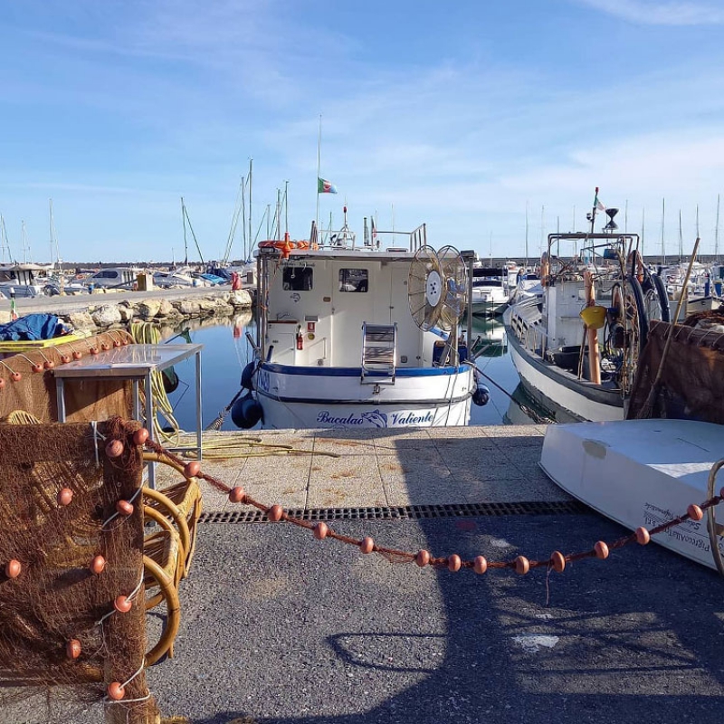 Pesca notturna con reti volanti e bulli